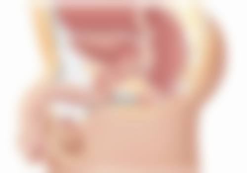 预约优惠活动 - 丹东金澄美容医院安相民医生