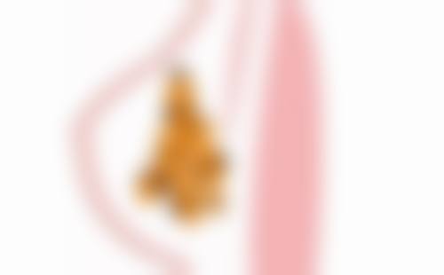 特色科室与项目