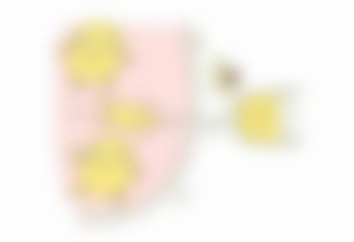 特色科室与项目