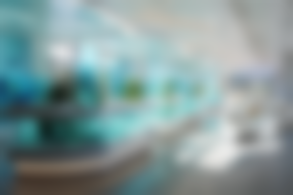 石家庄市第二医院(医疗美容科)