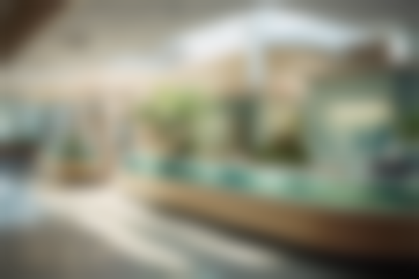 嘉兴爱丽诺禾美医疗美容医院