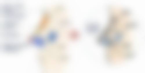 优惠活动详情