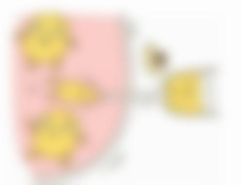 优惠活动详情