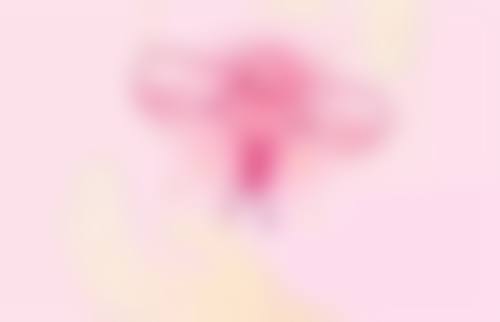 优惠活动详情