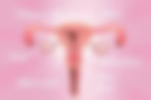 设备环境介绍