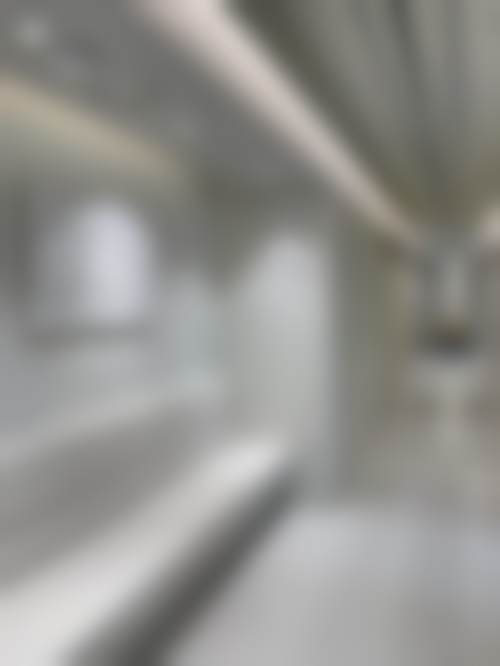 擅长项目详解