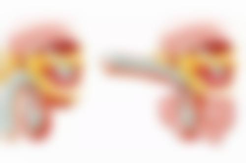 设备环境介绍