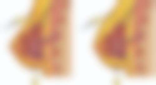 优惠活动详情