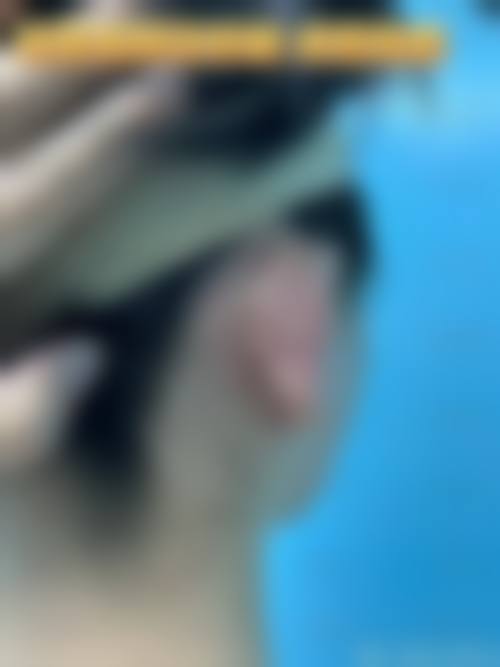 服务流程
