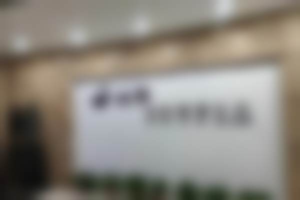 擅长项目详解