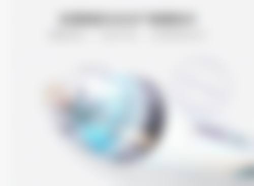 擅长项目详解