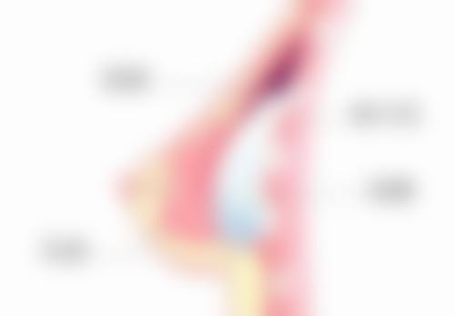 结尾预约号召
