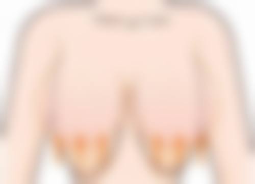 服务流程
