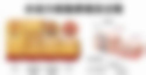 擅长项目详解