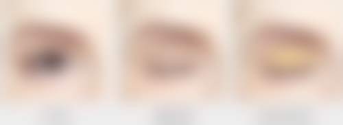 医生资质介绍