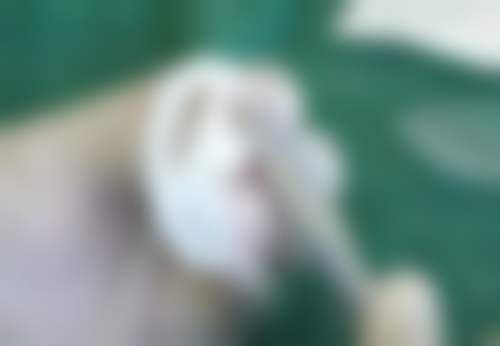 设备环境介绍