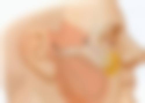 擅长项目详解