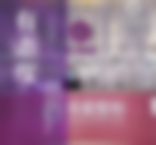 擅长项目详解