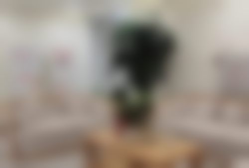 临床实例分享