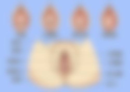 医生资质介绍