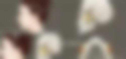 优惠活动详情