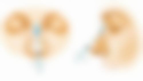 优惠活动详情